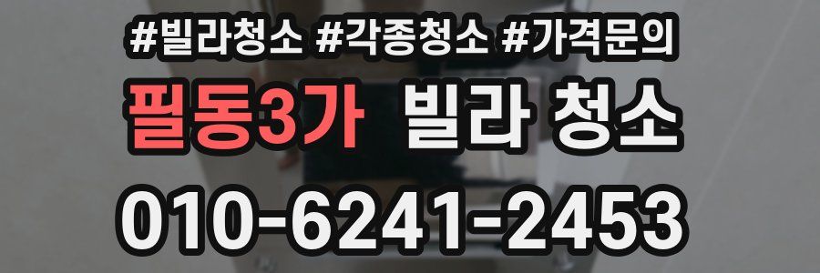 필동3가 빌라 청소