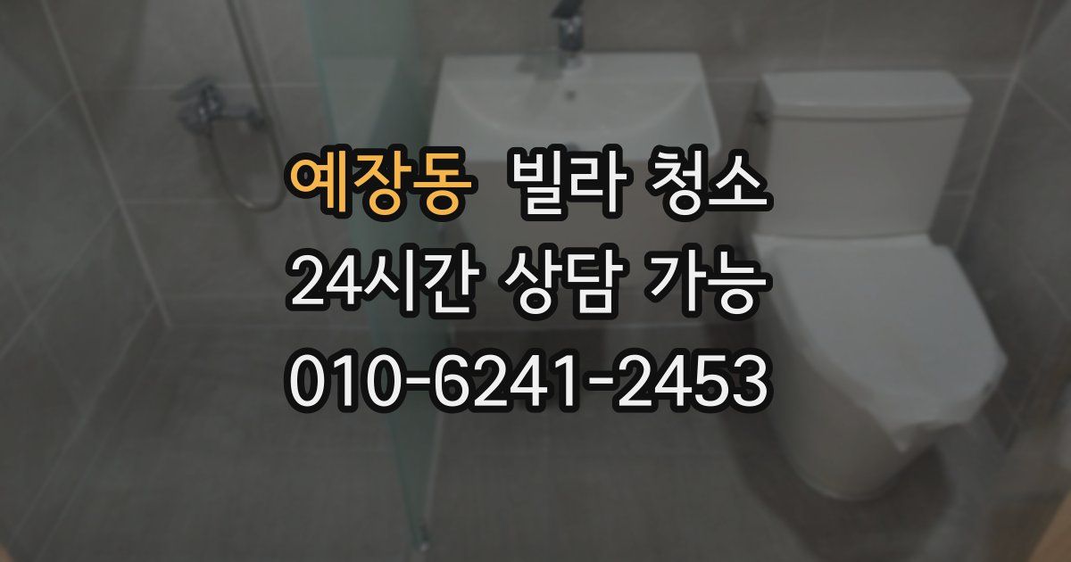 예장동 빌라 청소