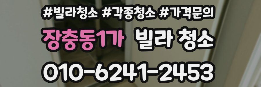 장충동1가 빌라 청소