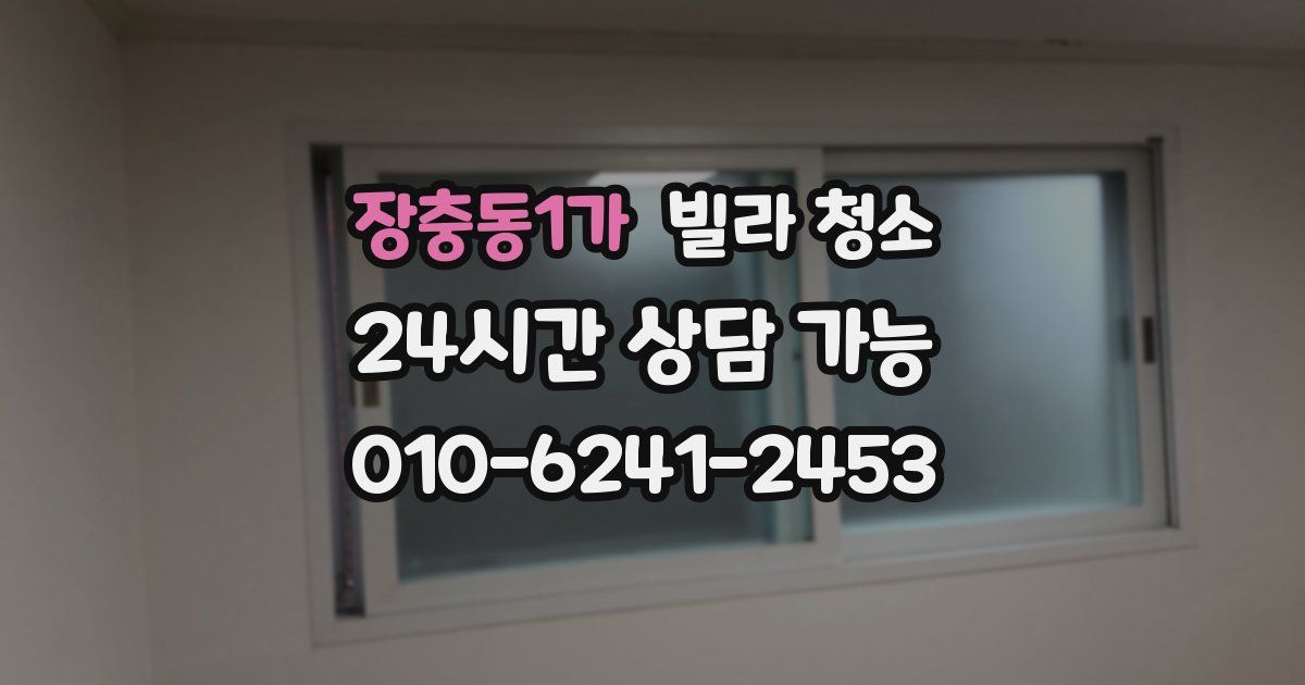 장충동1가 빌라 청소