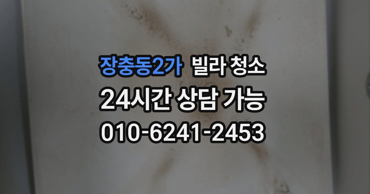 장충동2가 빌라 청소