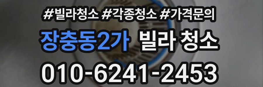 장충동2가 빌라 청소