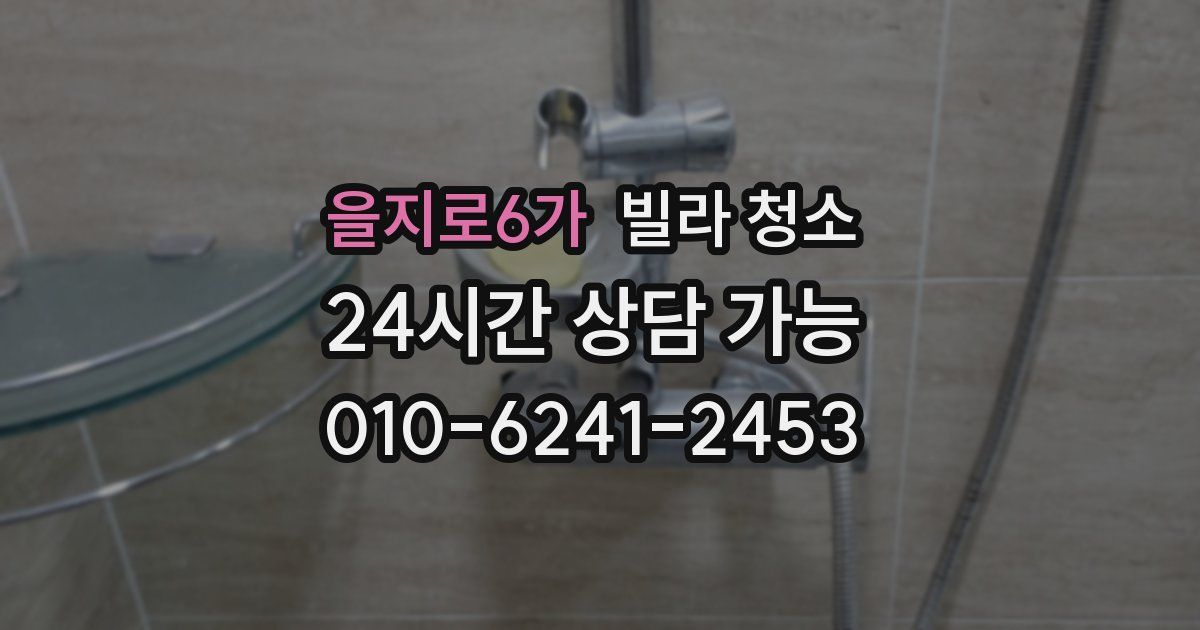 을지로6가 빌라 청소