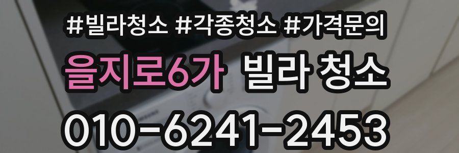 을지로6가 빌라 청소
