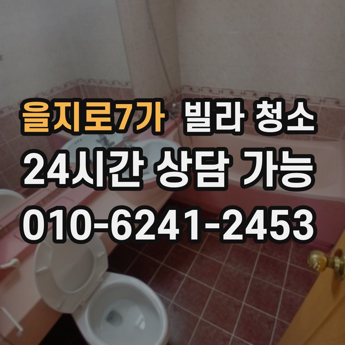 을지로7가 빌라 청소