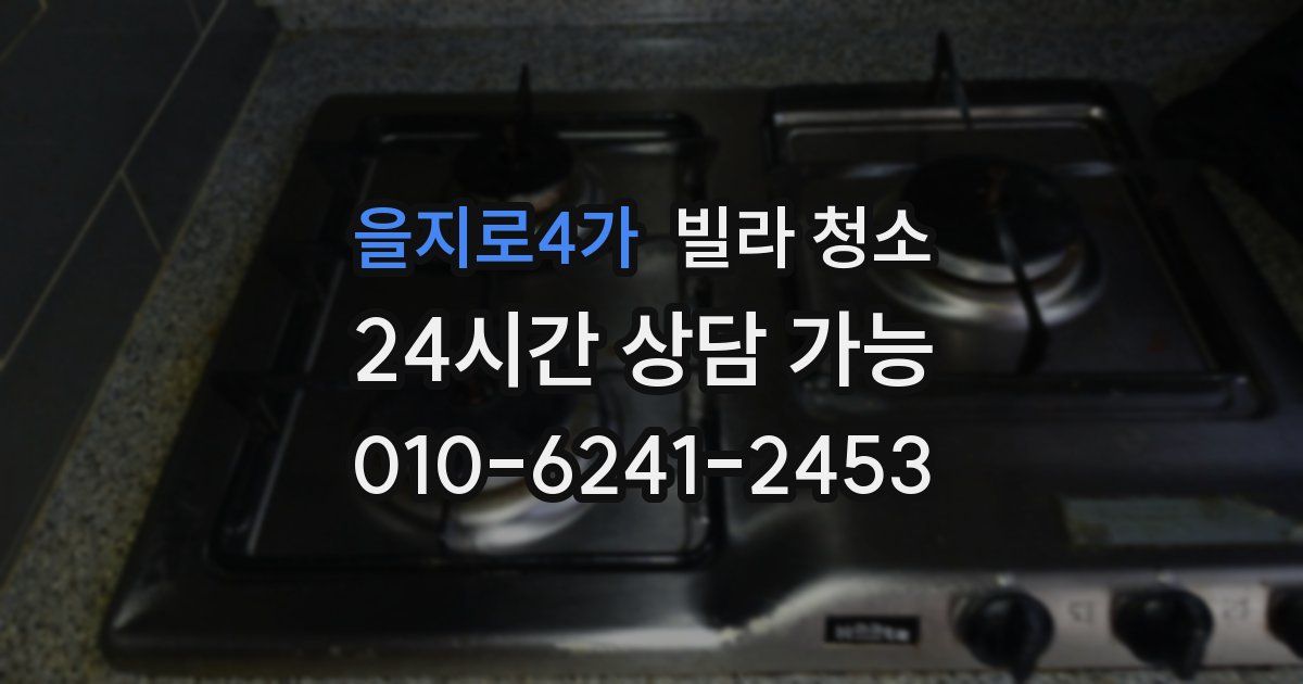 을지로4가 빌라 청소
