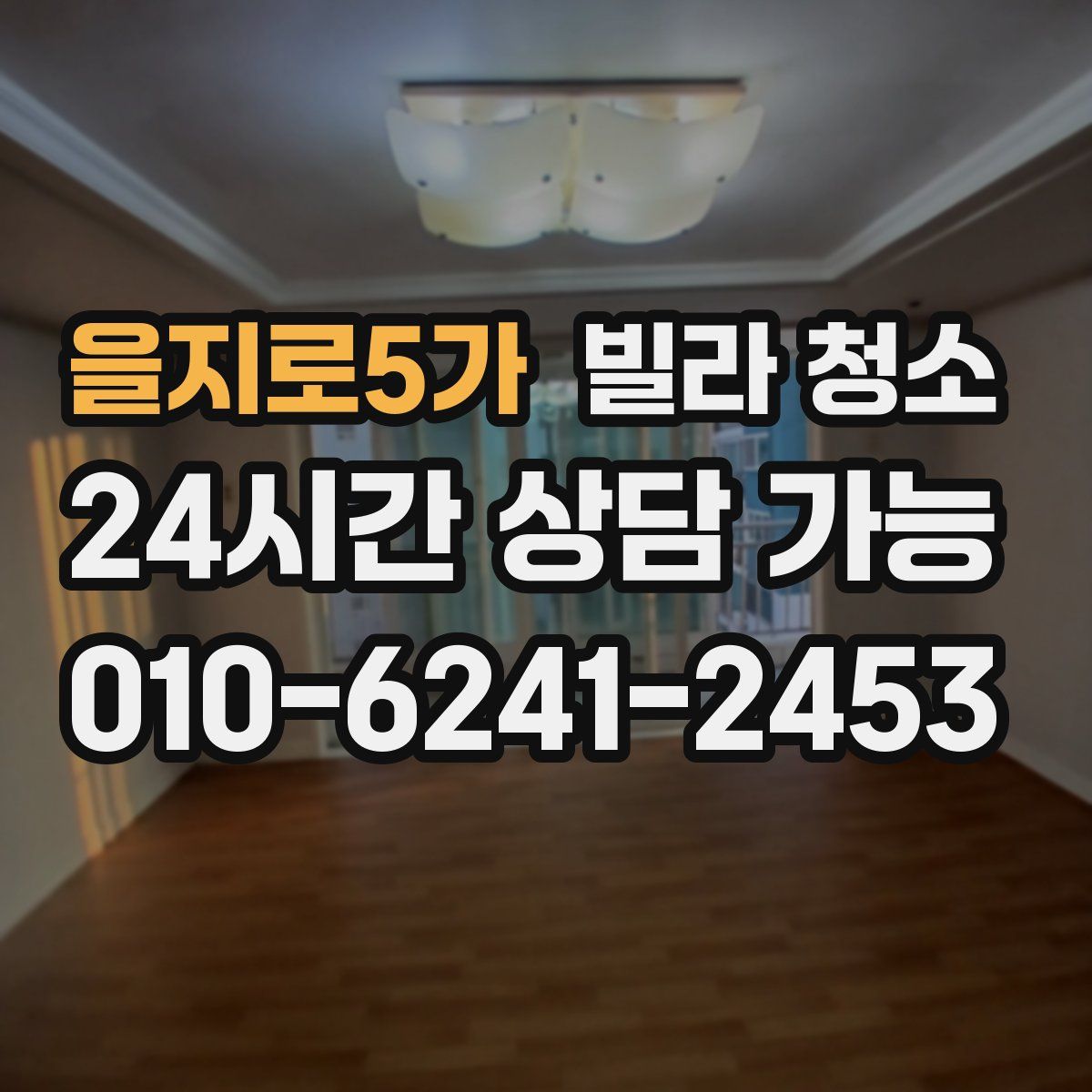 을지로5가 빌라 청소