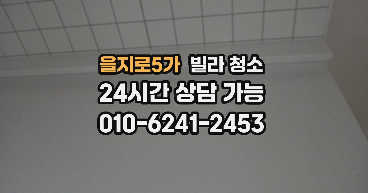 을지로5가 빌라 청소