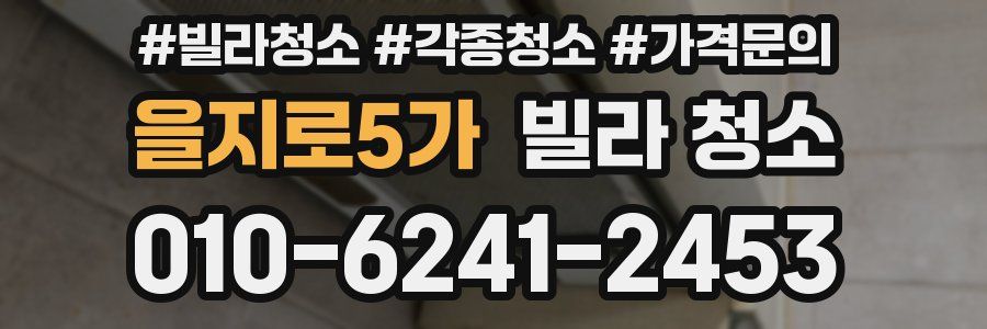을지로5가 빌라 청소