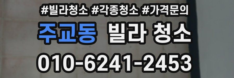 주교동 빌라 청소