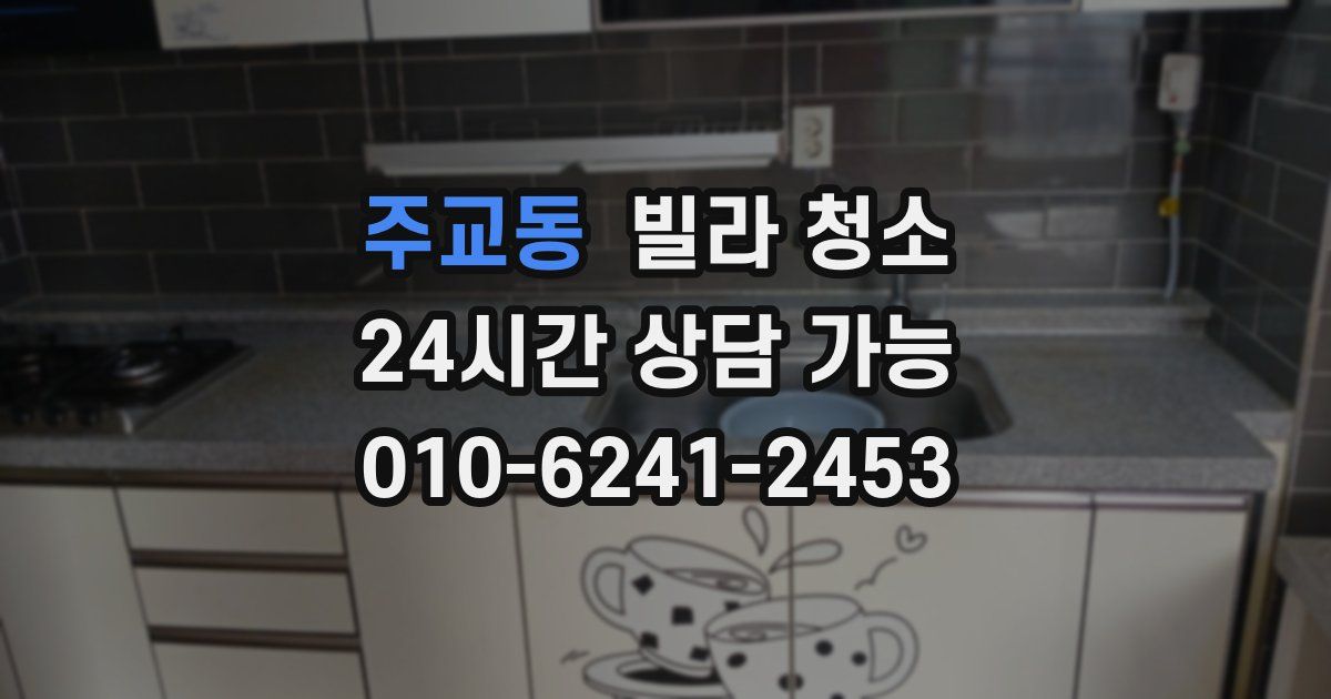 주교동 빌라 청소