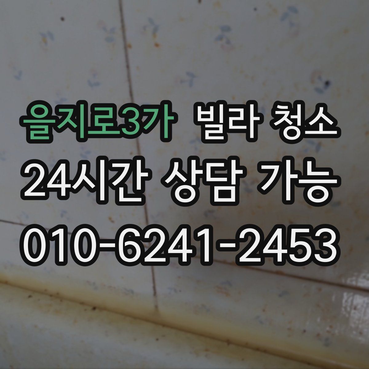 을지로3가 빌라 청소