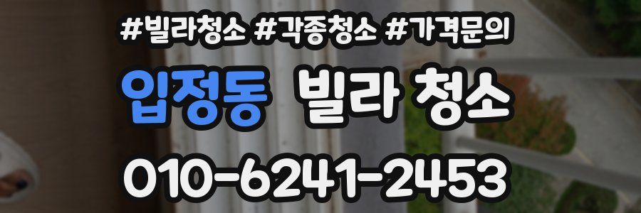 입정동 빌라 청소