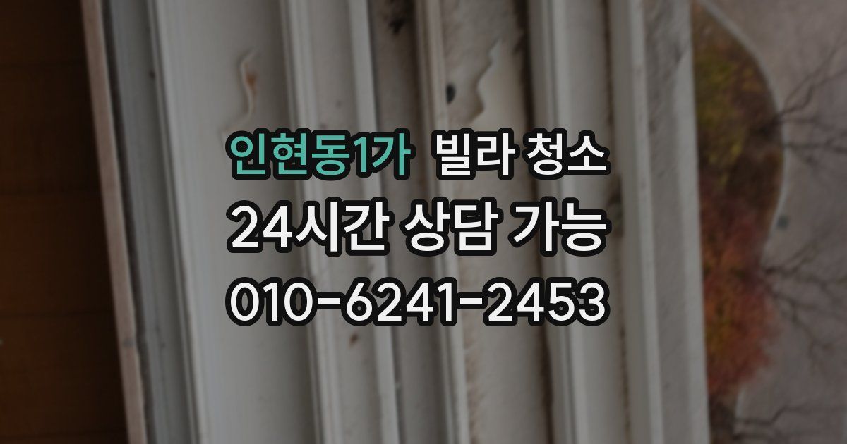 인현동1가 빌라 청소