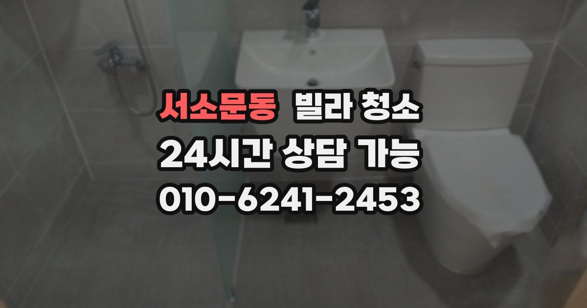 서소문동 빌라 청소