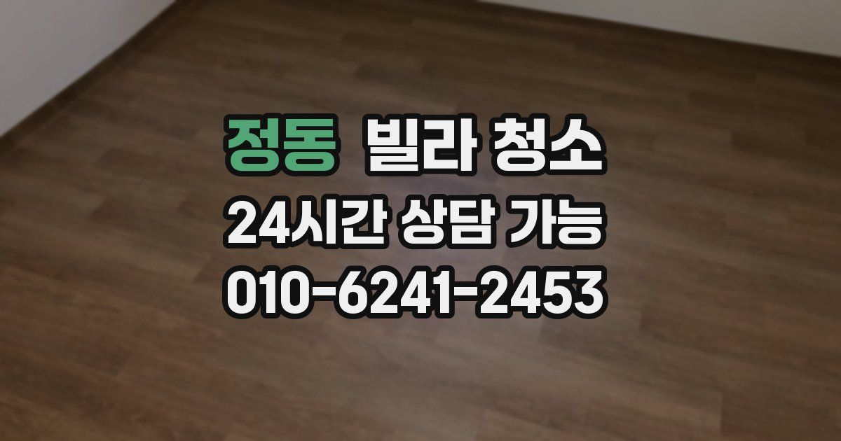 정동 빌라 청소