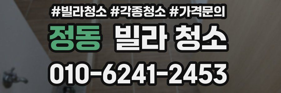 정동 빌라 청소