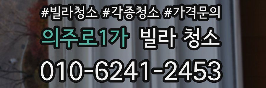 의주로1가 빌라 청소