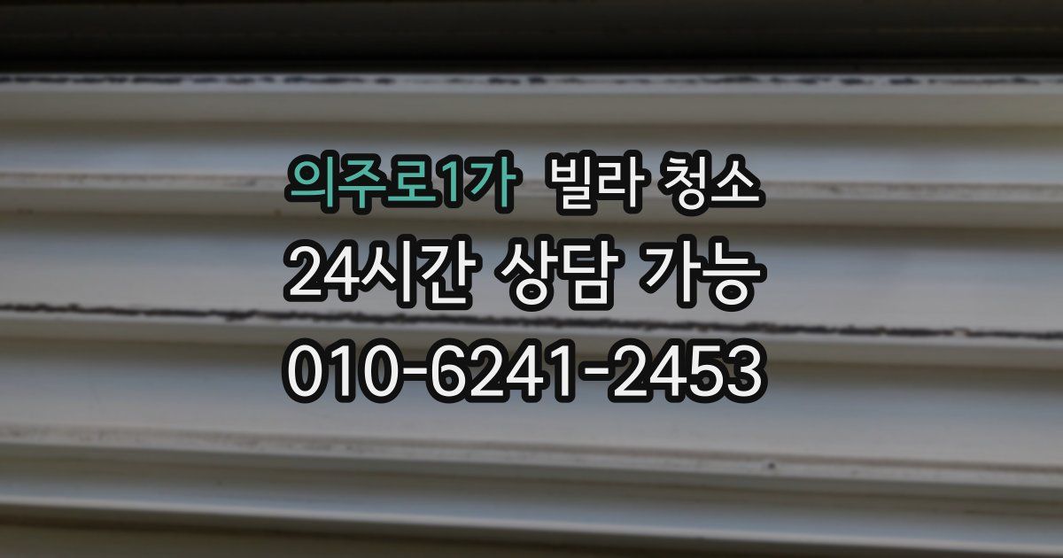 의주로1가 빌라 청소