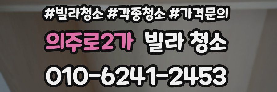 의주로2가 빌라 청소