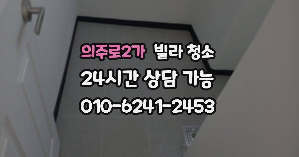 의주로2가 빌라 청소