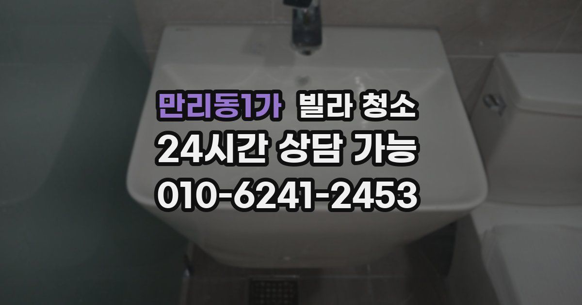 만리동1가 빌라 청소