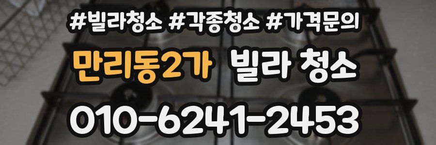 만리동2가 빌라 청소