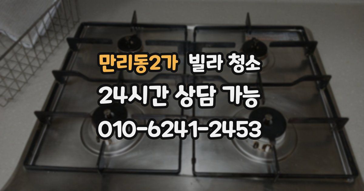 만리동2가 빌라 청소