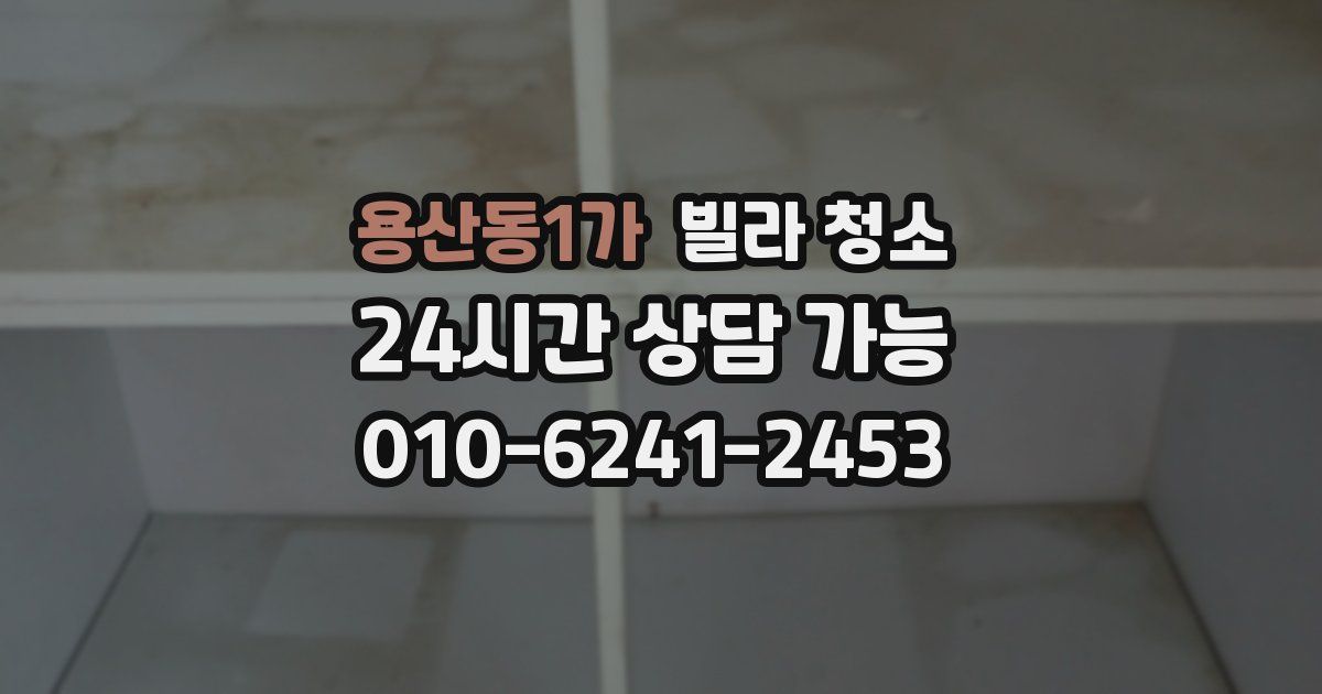 용산동1가 빌라 청소