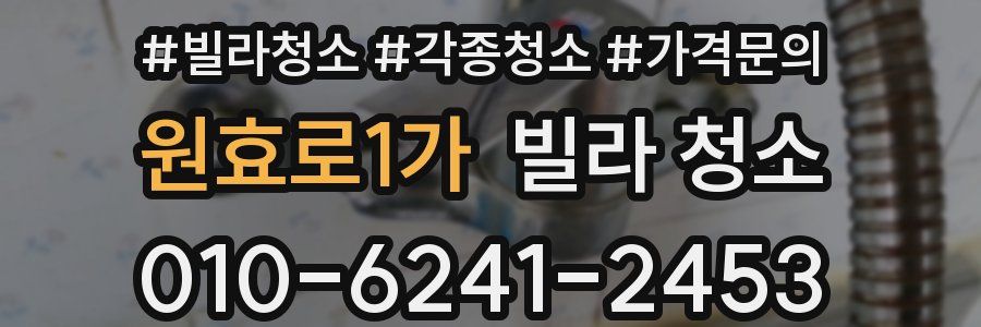 원효로1가 빌라 청소
