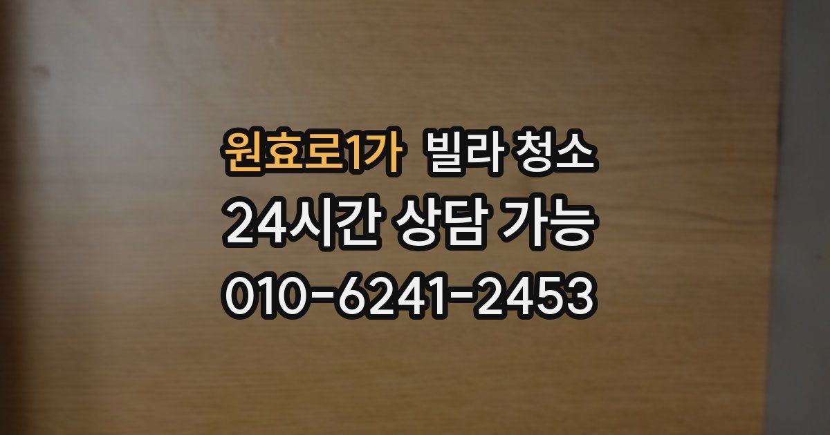 원효로1가 빌라 청소