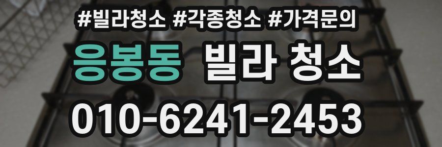 응봉동 빌라 청소