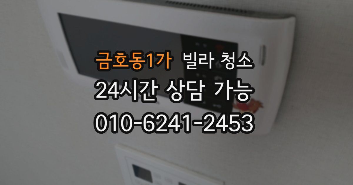 금호동1가 빌라 청소