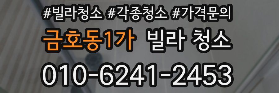 금호동1가 빌라 청소