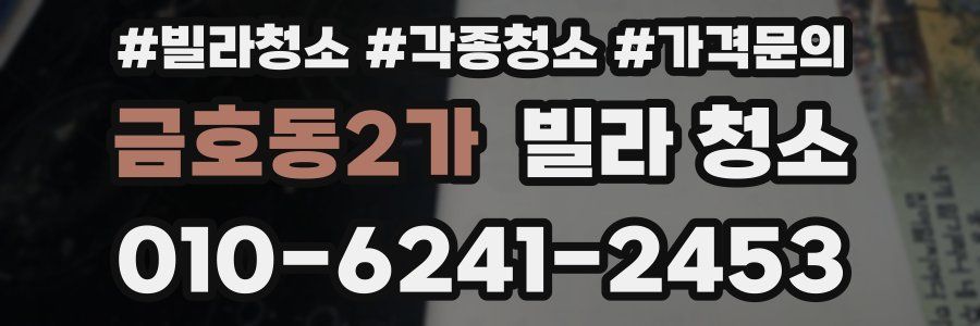 금호동2가 빌라 청소