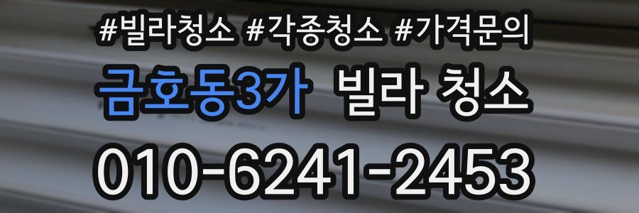 금호동3가 빌라 청소