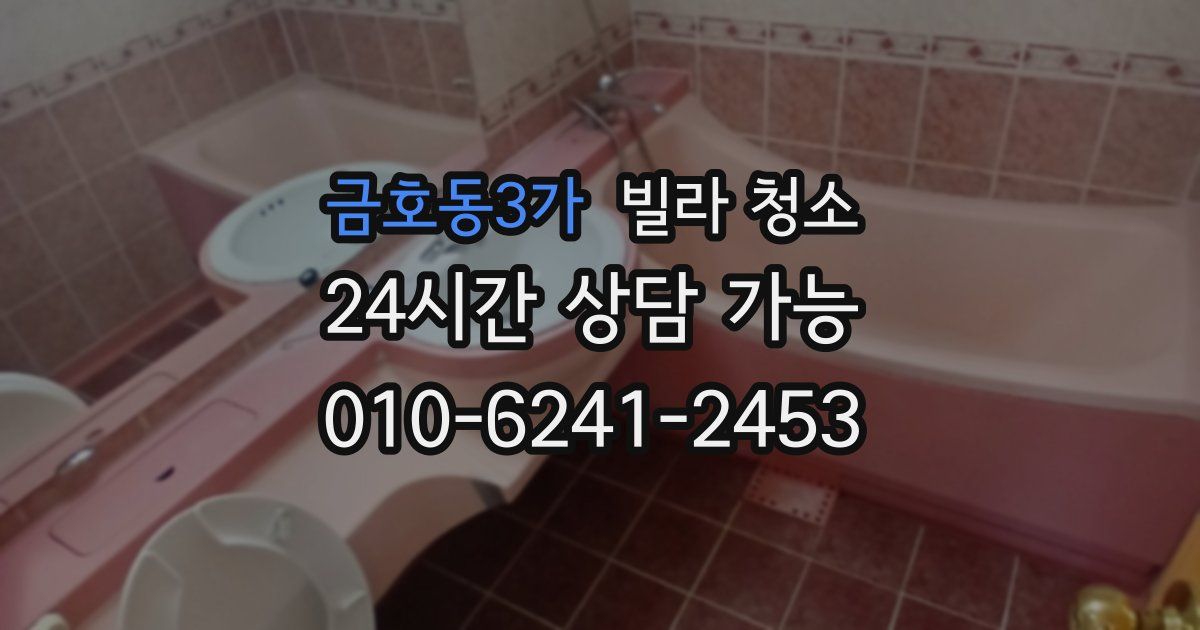 금호동3가 빌라 청소