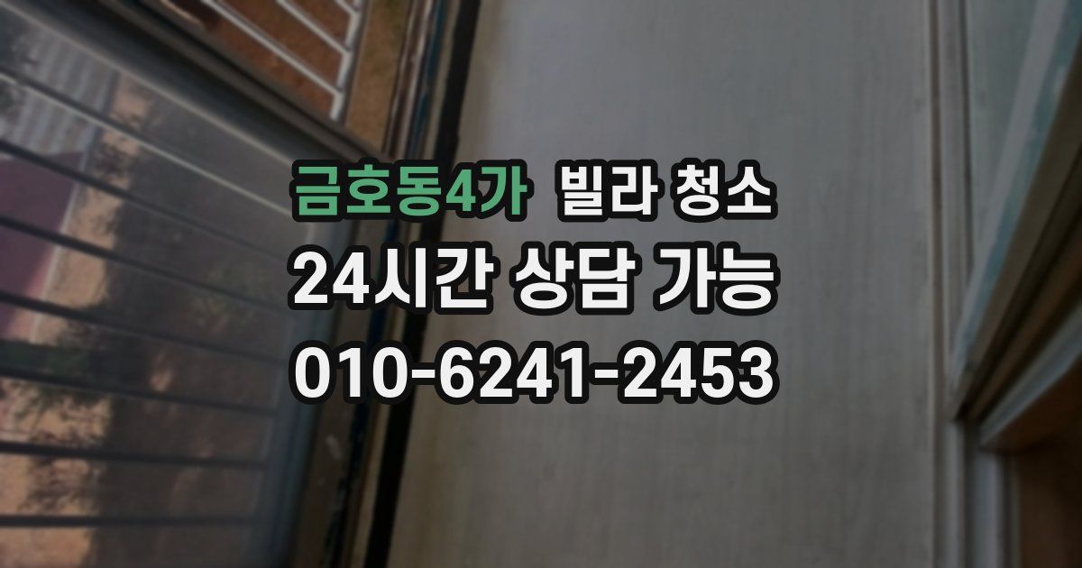 금호동4가 빌라 청소