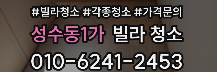 성수동1가 빌라 청소