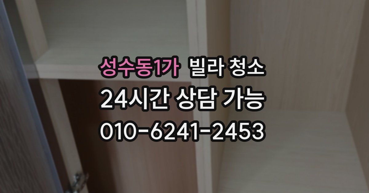 성수동1가 빌라 청소