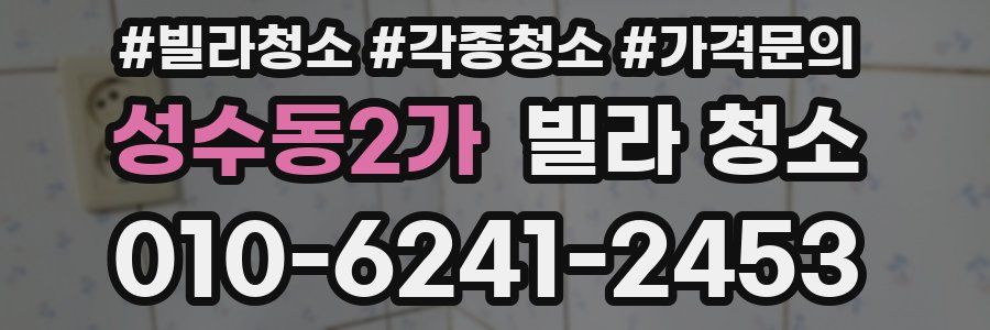 성수동2가 빌라 청소