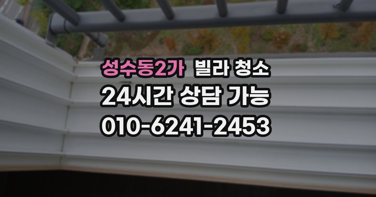 성수동2가 빌라 청소