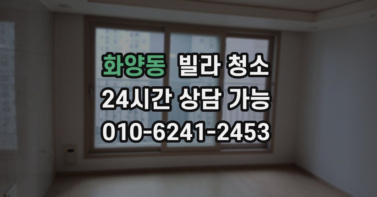 화양동 빌라 청소