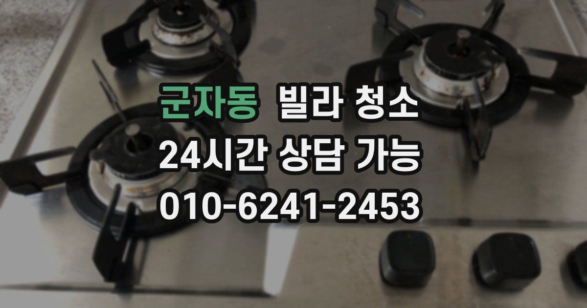 군자동 빌라 청소