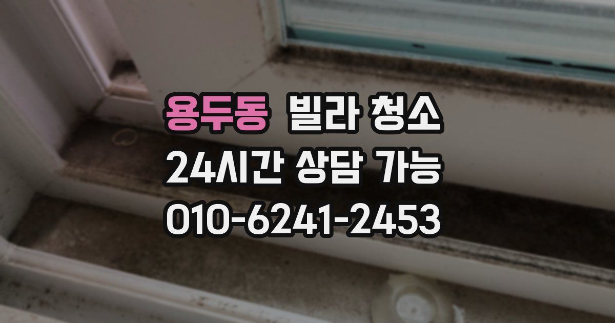 용두동 빌라 청소