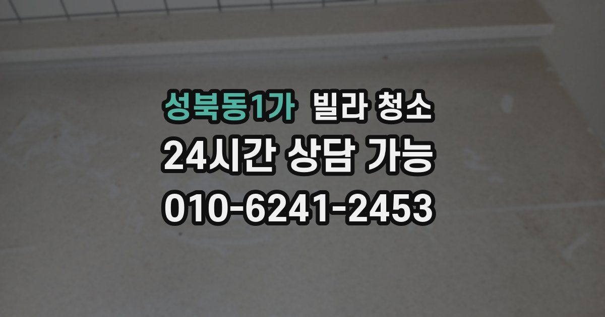 성북동1가 빌라 청소