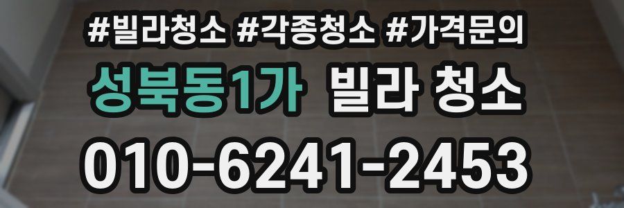 성북동1가 빌라 청소