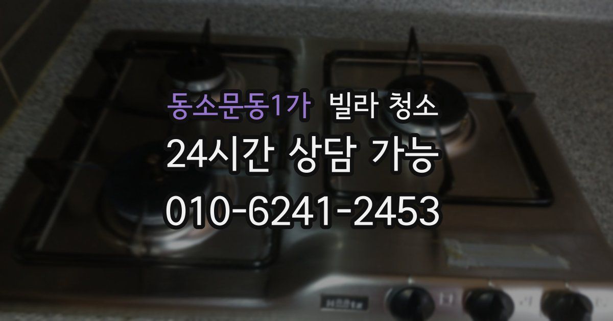 동소문동1가 빌라 청소