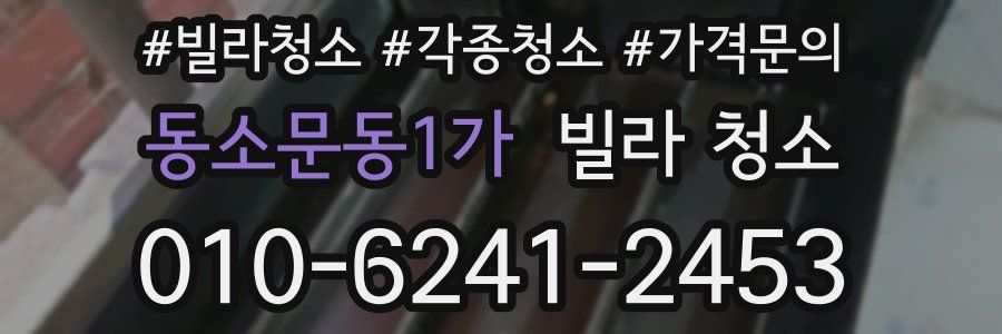 동소문동1가 빌라 청소