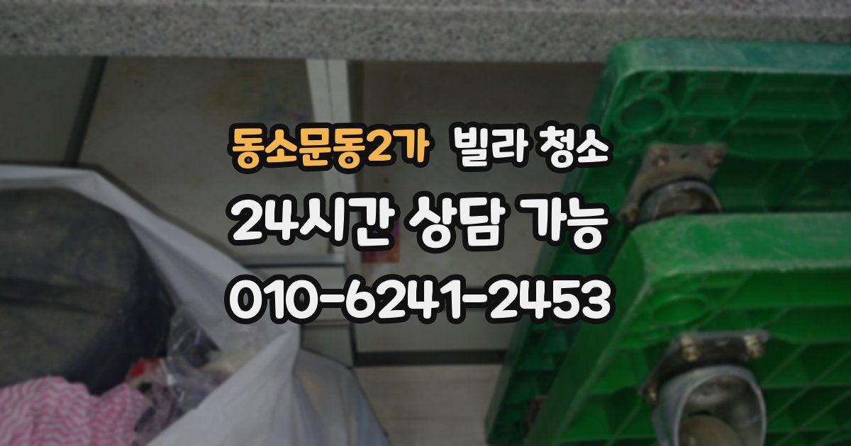 동소문동2가 빌라 청소